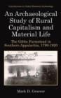 An Archaeological Study of Rural Capitalism and Material Life : The Gibbs Farmstead in Southern Appalachia, 1790-1920 - Book