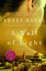 A Wall of Light - eBook