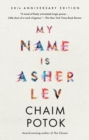 My Name Is Asher Lev - eBook