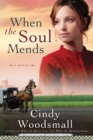 When the Soul Mends - eBook