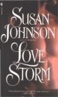 Love Storm - eBook