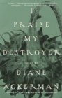 I Praise My Destroyer - eBook