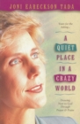 Quiet Place in a Crazy World - eBook
