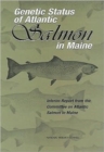 Genetic Status of Atlantic Salmon in Maine : Interim Report - Book