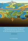 Approaches for Ecosystem Services Valuation for the Gulf of Mexico After the Deepwater Horizon Oil Spill : Interim Report - eBook