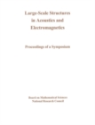 Large-Scale Structures in Acoustics and Electromagnetics : Proceedings of a Symposium - eBook