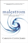 Malestrom : Manhood Swept into the Currents of a Changing World - Book