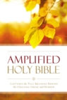 Amplified Outreach Bible, Paperback : Capture the Full Meaning Behind the Original Greek and Hebrew - Book