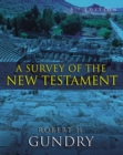 A Survey of the New Testament : 5th Edition - Book