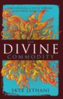 The Divine Commodity : Discovering a Faith Beyond Consumer Christianity - Book