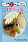 A Perfect Pony : Level 2 - Book
