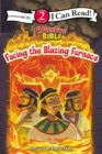 Facing the Blazing Furnace : Level 2 - Book