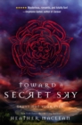 Toward a Secret Sky - Book