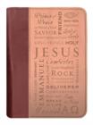 Duo-Tone Names of Jesus Brown/Tan Med Book and Bible Cover - Book