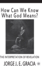 How Can We Know What God Means : The Interpretation of Revelation - Book
