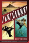 Firestorm - Book