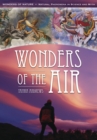 Wonders of the Air - eBook