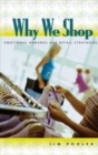 Why We Shop : Emotional Rewards and Retail Strategies - eBook