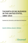 The Birth of Big Business in the United States, 1860-1914 : Commercial, Extractive, and Industrial Enterprise - eBook