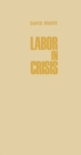 Labor in Crisis : The Steel Strike of 1919 - Book
