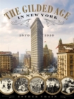 The Gilded Age In New York, 1870 - 1910 - Book