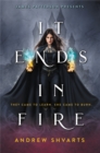 It Ends in Fire - Book