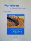 Worksheets for Classroom or Lab Practice for Elementary and Intermediate Algebra - Book