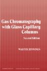 Gas Chromatography with Glass Capillary Columns - eBook