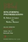 Ring-Forming Polymerizations Pt B 2 : Heterocyclic Rings - eBook