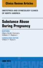 Substance Abuse During Pregnancy, An Issue of Obstetrics and Gynecology Clinics - eBook
