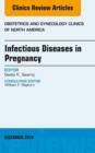 Infectious Diseases in Pregnancy, An Issue of Obstetrics and Gynecology Clinics - eBook