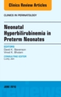 Neonatal Hyperbilirubinemia in Preterm Neonates, An Issue of Clinics in Perinatology : Volume 43-2 - Book