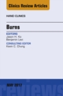 Burns, An Issue of Hand Clinics - eBook