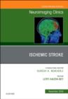 Ischemic Stroke, An Issue of Neuroimaging Clinics of North America : Volume 28-4 - Book