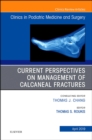 Current Perspectives on Management of Calcaneal Fractures, An Issue of Clinics in Podiatric Medicine and Surgery : Volume 36-2 - Book