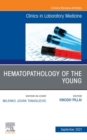Hematopathology of the Young, An Issue of the Clinics in Laboratory Medicine, E-Book : Hematopathology of the Young, An Issue of the Clinics in Laboratory Medicine, E-Book - eBook