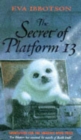 SECRET OF PLATFORM 13 - Book