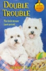 DOUBLE TROUBLE - Book