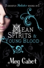 The Mediator: Mean Spirits and Young Blood - Book