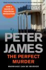 The Perfect Murder - eBook