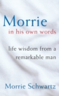 In Search of the Pleasure Palace : Disreputable Travels - Morrie Schwartz