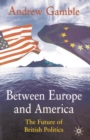 Between Europe and America : The Future of British Politics - Book
