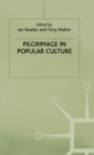 Pilgrimage in Popular Culture - Book