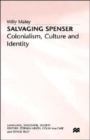 Salvaging Spenser : Colonialism, Culture and Identity - Book