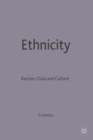 Ethnicity : Racism, Class and Culture - Book