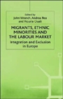 Migrants, Ethnic Minorities and the Labour Market : Integration and Exclusion in Europe - Book