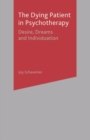 The Dying Patient in Psychotherapy : Desire, Dreams and Individuation - Book