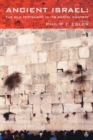 Ancient Israel : The Old Testament in Its Social Context - Book