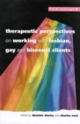 Therapeutic Perspectives On Working With Lesbian, Gay and Bisexual Clients - Book