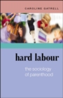 Hard Labour: The Sociology of Parenthood - Book